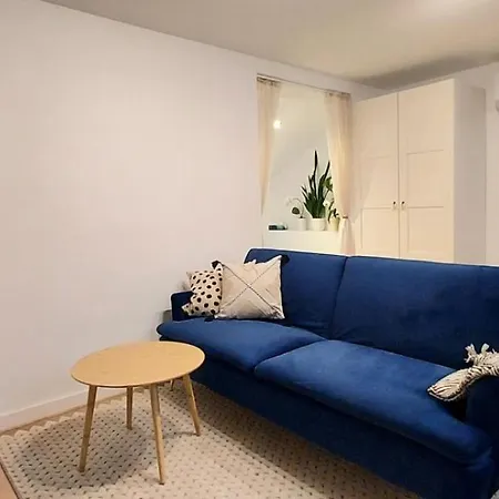 公寓 Cichy Zaulek 5 露米雅