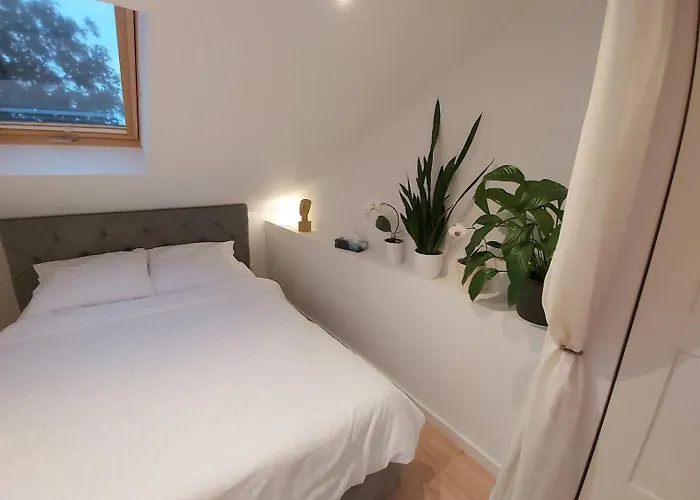 Cichy Zaulek 5 公寓 露米雅